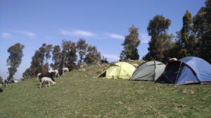 Nag tibba camp