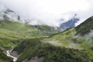 River dividing the valley of flowers!